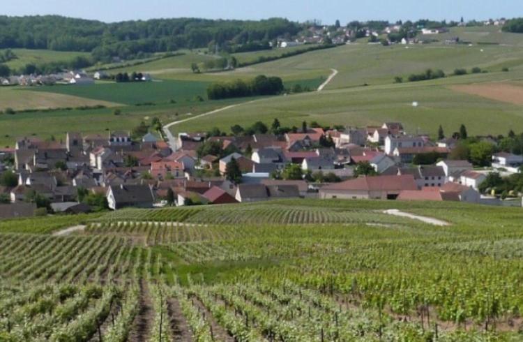 La Longere De Vin'Ay Apartment Vinay  Екстериор снимка