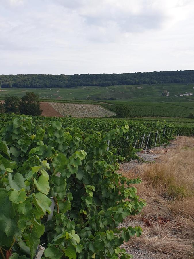 La Longere De Vin'Ay Apartment Vinay  Екстериор снимка